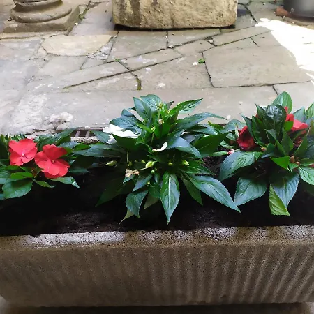 Beautiful View * Bergamo