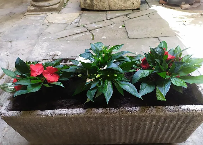 Beautiful View * Bergamo